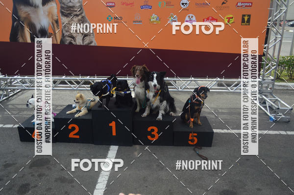 Buy your photos of the eventCorrida Pet Finde on Fotop