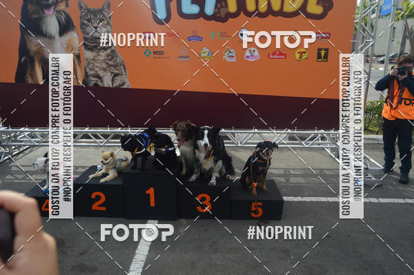 Buy your photos of the eventCorrida Pet Finde on Fotop