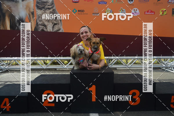 Buy your photos of the eventCorrida Pet Finde on Fotop