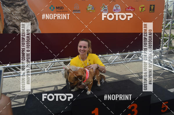 Buy your photos of the eventCorrida Pet Finde on Fotop