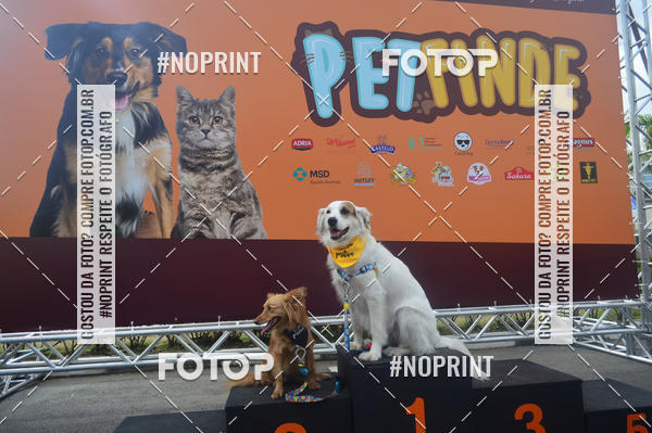 Buy your photos of the eventCorrida Pet Finde on Fotop
