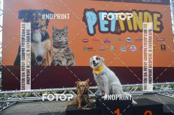 Buy your photos of the eventCorrida Pet Finde on Fotop