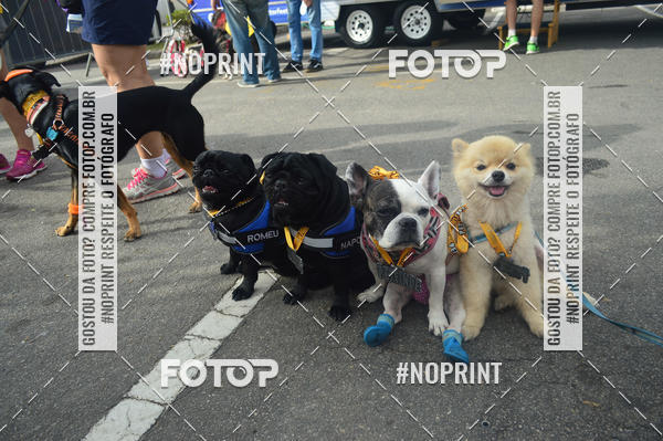 Buy your photos of the eventCorrida Pet Finde on Fotop