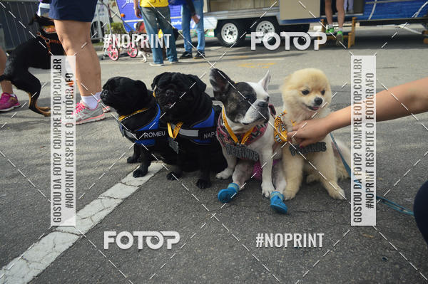 Buy your photos of the eventCorrida Pet Finde on Fotop