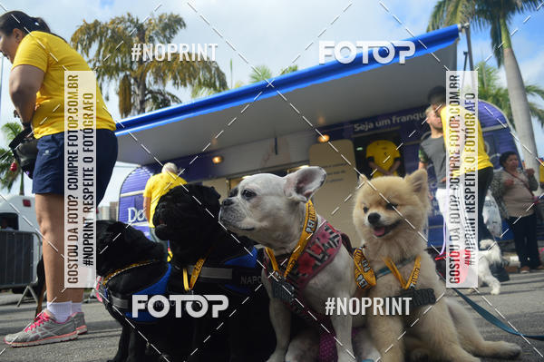 Buy your photos of the eventCorrida Pet Finde on Fotop