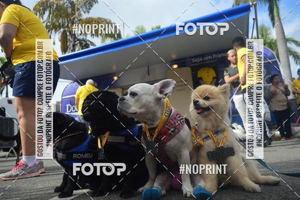 Buy your photos of the eventCorrida Pet Finde on Fotop