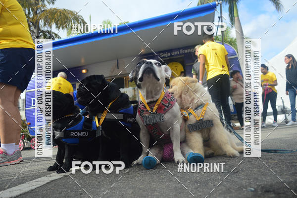 Buy your photos of the eventCorrida Pet Finde on Fotop