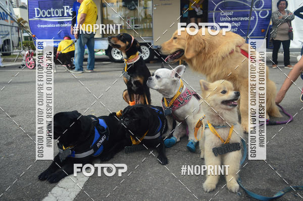 Buy your photos of the eventCorrida Pet Finde on Fotop