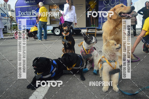 Buy your photos of the eventCorrida Pet Finde on Fotop