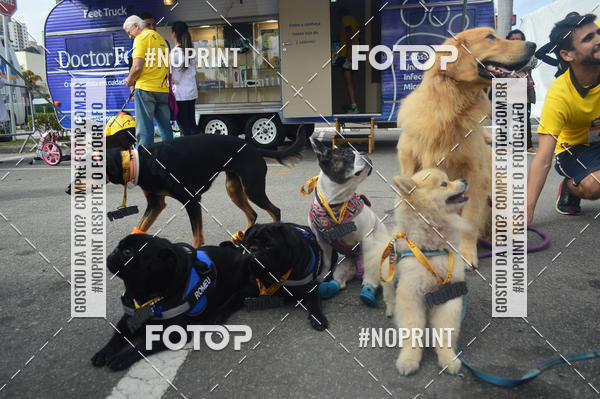 Buy your photos of the eventCorrida Pet Finde on Fotop