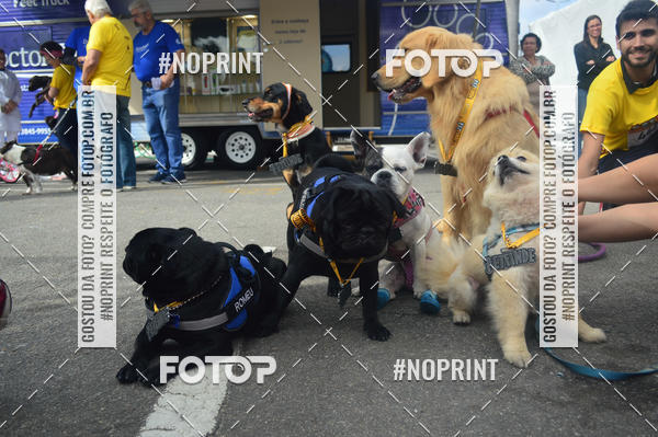 Buy your photos of the eventCorrida Pet Finde on Fotop