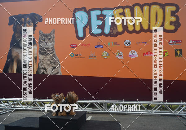 Buy your photos of the eventCorrida Pet Finde on Fotop