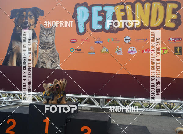 Buy your photos of the eventCorrida Pet Finde on Fotop
