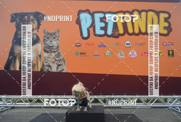 Buy your photos of the eventCorrida Pet Finde on Fotop