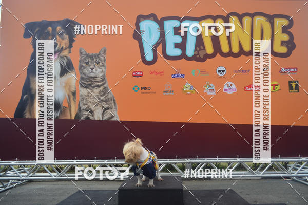 Buy your photos of the eventCorrida Pet Finde on Fotop