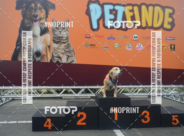 Buy your photos of the eventCorrida Pet Finde on Fotop