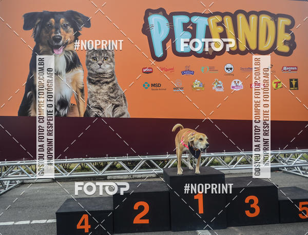 Buy your photos of the eventCorrida Pet Finde on Fotop