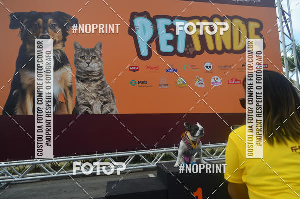 Buy your photos of the eventCorrida Pet Finde on Fotop