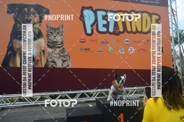 Buy your photos of the eventCorrida Pet Finde on Fotop