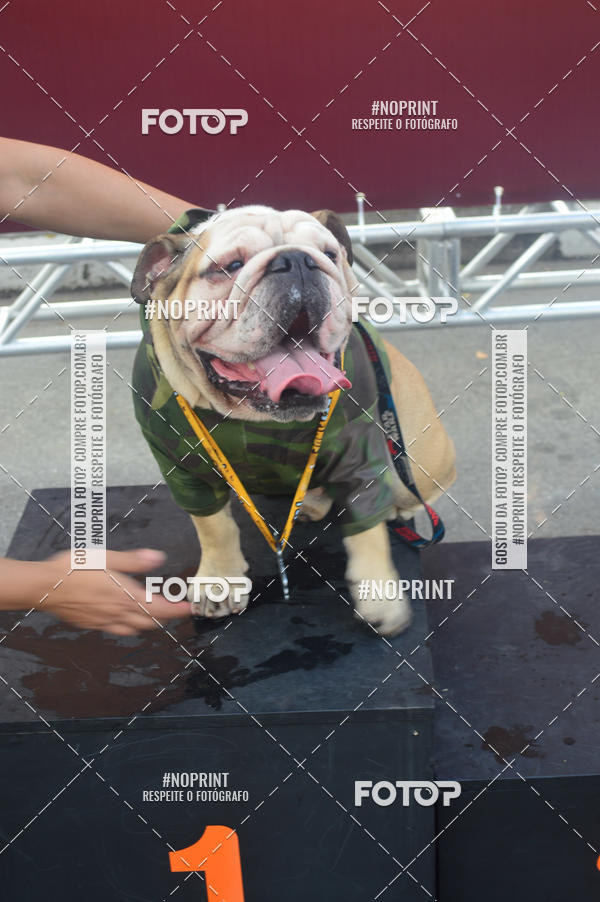 Buy your photos of the eventCorrida Pet Finde on Fotop