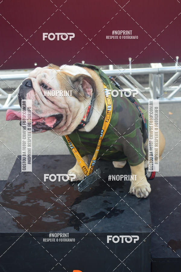 Buy your photos of the eventCorrida Pet Finde on Fotop