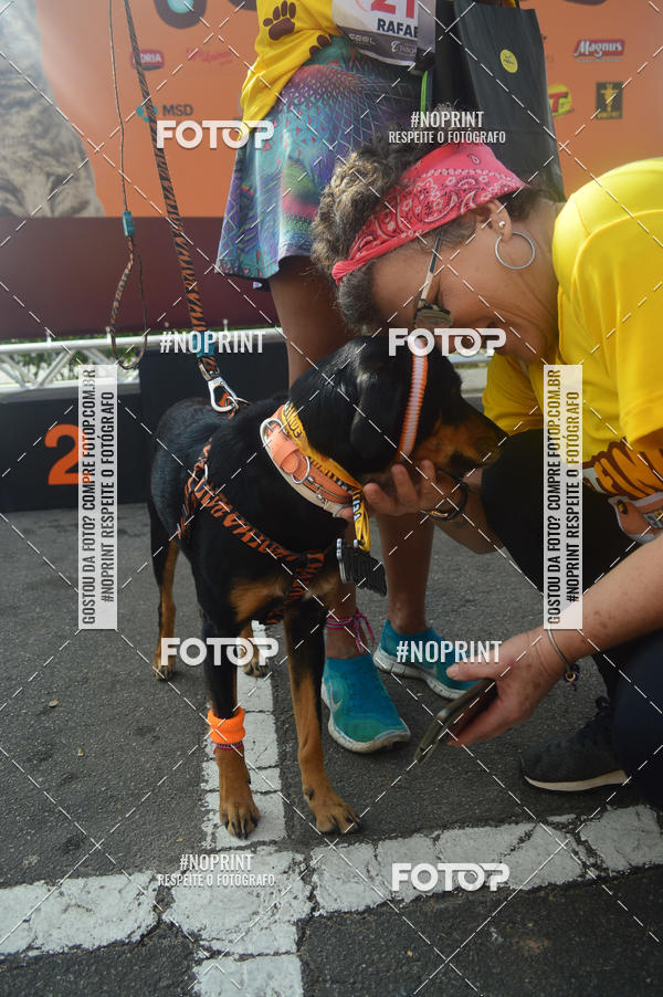 Buy your photos of the eventCorrida Pet Finde on Fotop