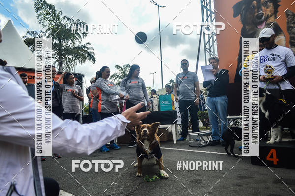 Buy your photos of the eventCorrida Pet Finde on Fotop