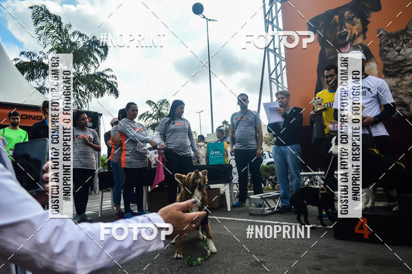 Buy your photos of the eventCorrida Pet Finde on Fotop