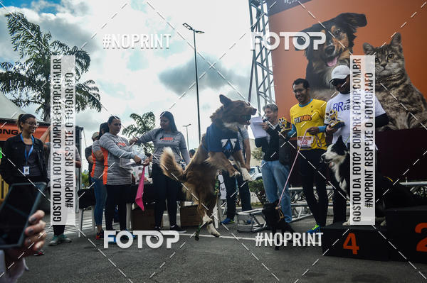 Buy your photos of the eventCorrida Pet Finde on Fotop
