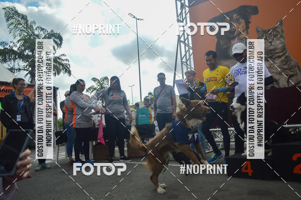 Buy your photos of the eventCorrida Pet Finde on Fotop