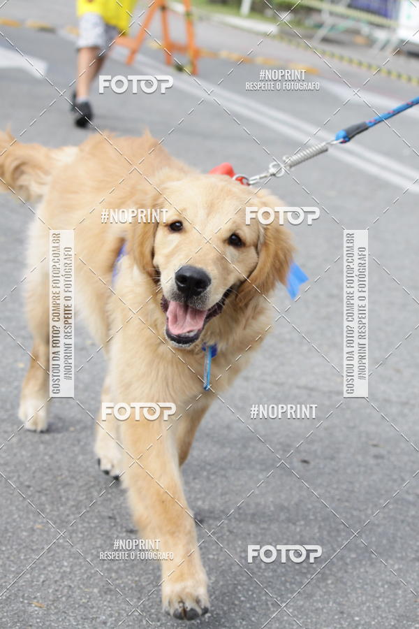 Buy your photos of the eventCorrida Pet Finde on Fotop