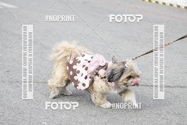 Buy your photos of the eventCorrida Pet Finde on Fotop