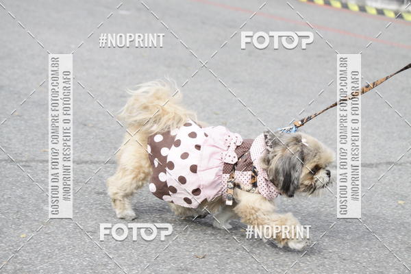 Buy your photos of the eventCorrida Pet Finde on Fotop