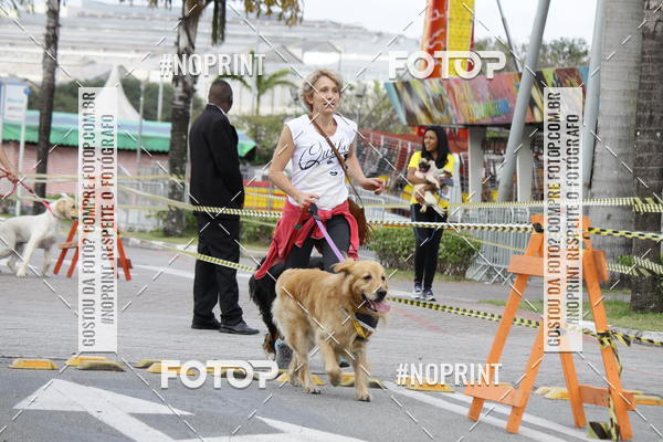 Buy your photos of the eventCorrida Pet Finde on Fotop