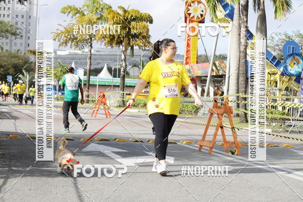 Buy your photos of the eventCorrida Pet Finde on Fotop
