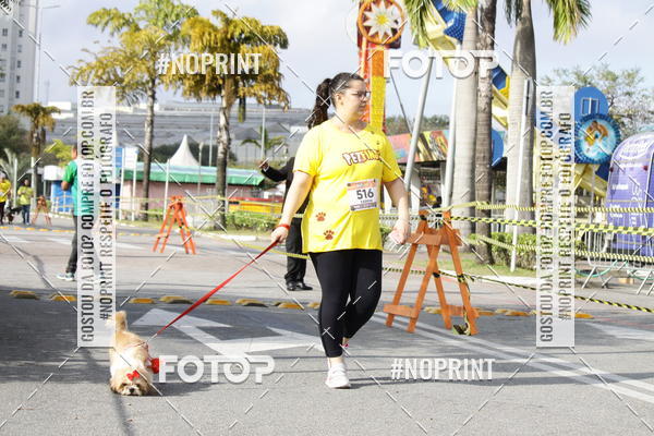 Buy your photos of the eventCorrida Pet Finde on Fotop