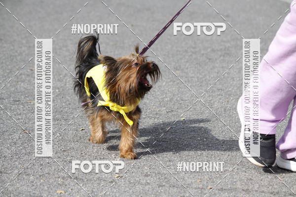 Buy your photos of the eventCorrida Pet Finde on Fotop