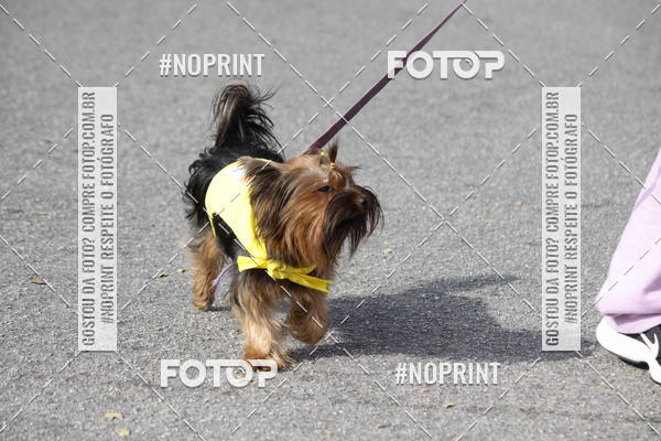 Buy your photos of the eventCorrida Pet Finde on Fotop