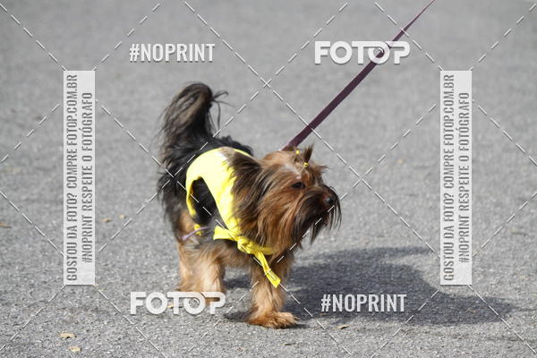 Buy your photos of the eventCorrida Pet Finde on Fotop