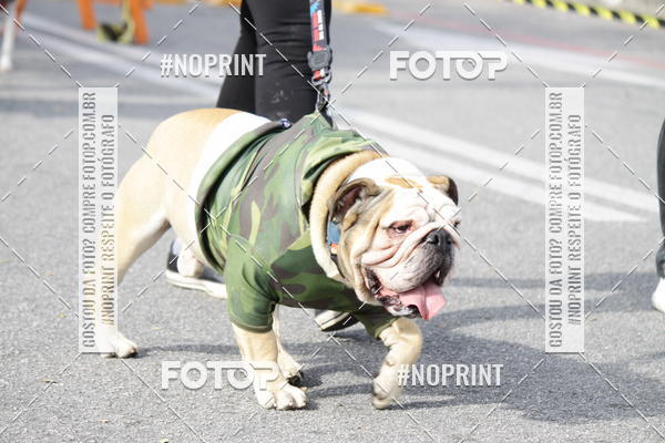 Buy your photos of the eventCorrida Pet Finde on Fotop