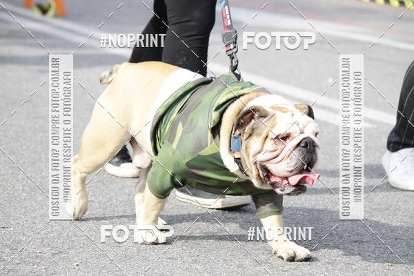 Buy your photos of the eventCorrida Pet Finde on Fotop