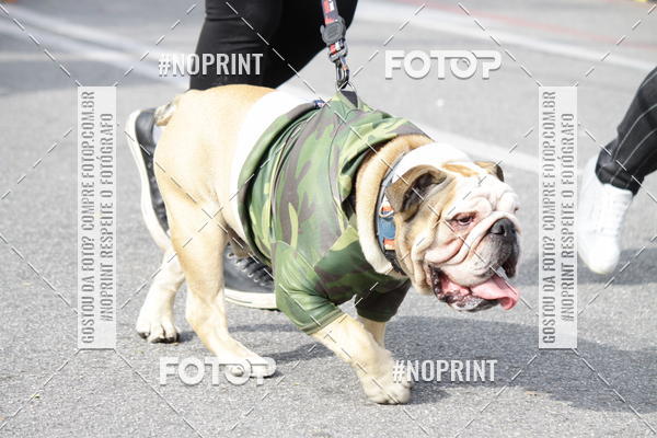 Buy your photos of the eventCorrida Pet Finde on Fotop