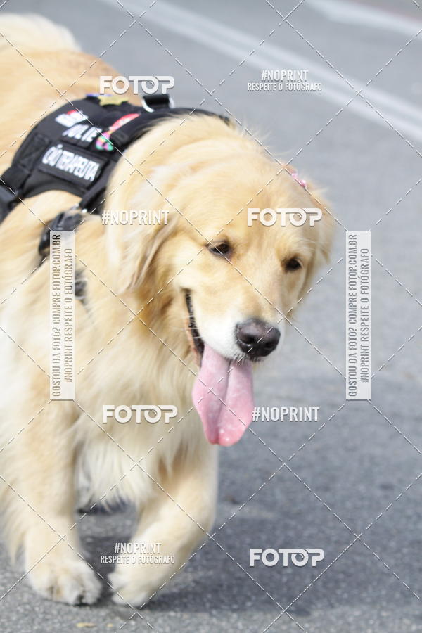 Buy your photos of the eventCorrida Pet Finde on Fotop