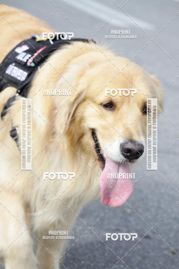 Buy your photos of the eventCorrida Pet Finde on Fotop