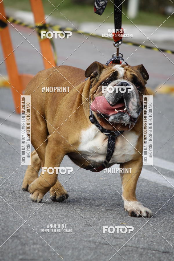 Buy your photos of the eventCorrida Pet Finde on Fotop