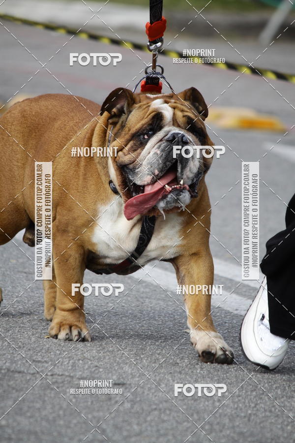 Buy your photos of the eventCorrida Pet Finde on Fotop