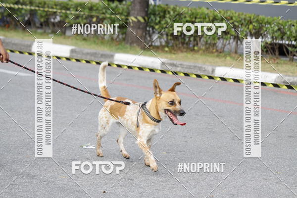 Buy your photos of the eventCorrida Pet Finde on Fotop