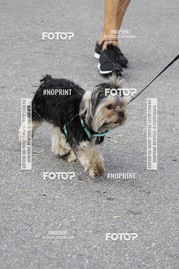 Buy your photos of the eventCorrida Pet Finde on Fotop