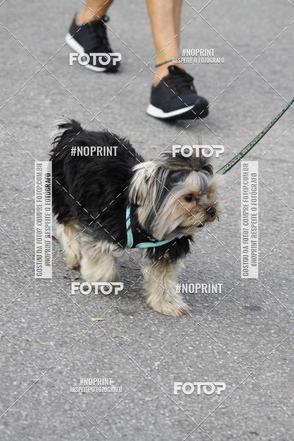 Buy your photos of the eventCorrida Pet Finde on Fotop