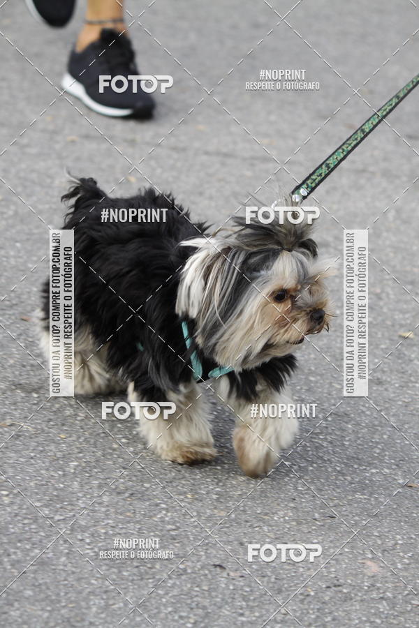Buy your photos of the eventCorrida Pet Finde on Fotop
